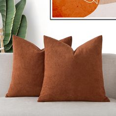 two brown pillows sitting on top of a white couch next to a plant in a living room