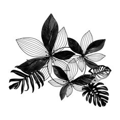 some black and white leaves on a white background