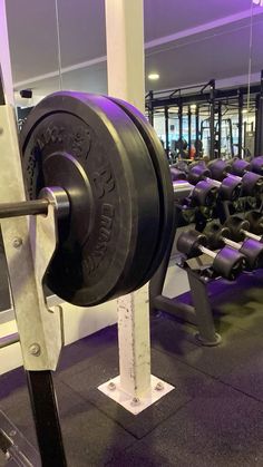 an empty gym with rows of dumbbells in the foreground and purple lighting