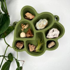 a green planter with rocks and plants in it on a white wall next to a potted plant