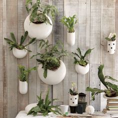 a table topped with lots of potted plants next to a wall mounted planter