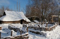 a snow covered yard with fence and trees