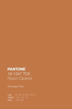 an orange pantone poster with the words,'71 - 1383 tox apricot orange '