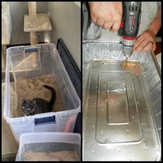 two pictures one shows a cat and the other shows a person with a drill in it's hand