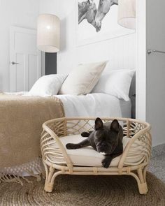 a black dog laying on top of a bed in a room