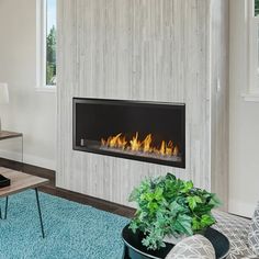 Do you think gas fireplaces need chimneys? No! The Monessen 42 Vent Free Fireplace lets you enjoy a cozier indoor room more easily. Get the best deal here! Traditional Fireplaces, Linear Gas Fireplace, Fireplace Vent, Vent Free Gas Fireplace, Fireplace Video, Sleek Fireplace, Linear Fireplace, Gas Fireplaces, Fireplace Logs