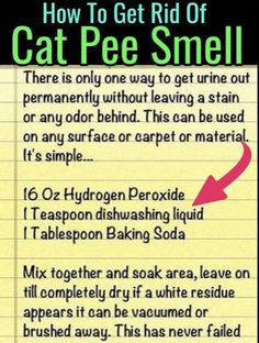 how to get rid of cat pee smell in the bathroom? info poster for pet pee smell control