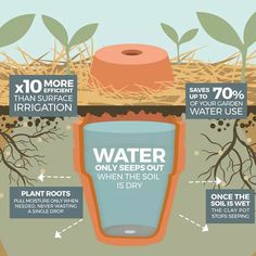 an info poster explaining how water is used to grow plants and other things in the ground