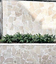 a bench sitting next to a stone wall with plants growing on it's sides