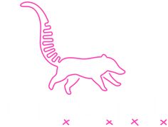 a pink line drawing of a cat's tail and tail