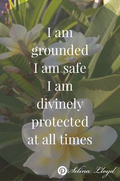 a white flower with the words i am grounded i am safe i am divinely protected at all times