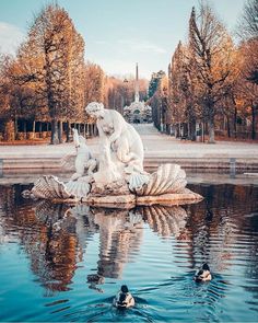 two people swimming in the water next to a fountain with a dog statue on it