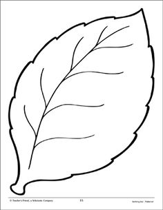 a leaf is shown in black and white, with the outlines for it to be colored