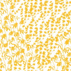 an orange and white background with yellow flowers