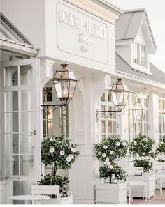 the front of a white building with potted plants and lights on it's windows