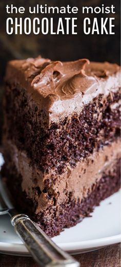 a piece of chocolate cake on a white plate