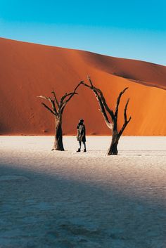 a person standing in the middle of a desert with two dead trees and sand dunes behind them