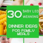 baby led weaning dinner ideas for family meals