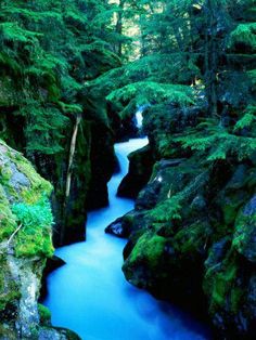 a river flowing through a lush green forest filled with rocks and moss growing on the sides