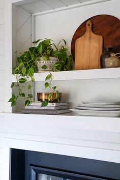 the shelves above the fireplace are filled with plants and plates