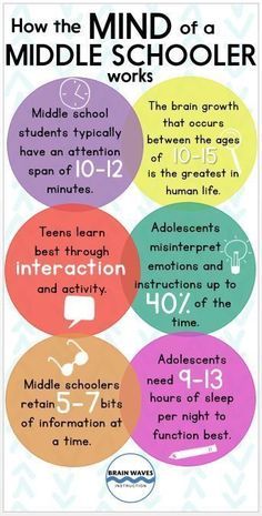 an info sheet with the words how the mind of a middle schooler works on it