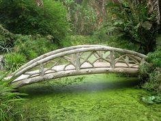 a wooden bridge over green water surrounded by trees