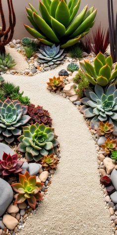 an assortment of succulents and rocks in a garden