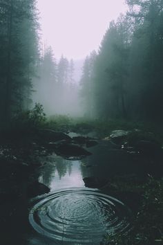 a river surrounded by trees and fog with the words tough love written on it's side