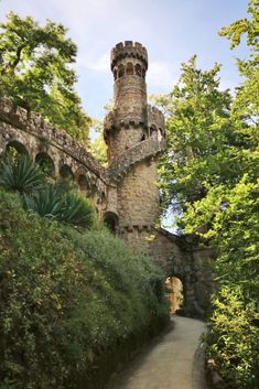 an old stone castle surrounded by trees and bushes