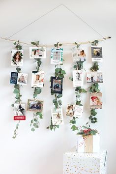 a bunch of pictures hanging on the wall with some plants growing out of them,