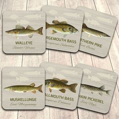 four fish coasters with names on them