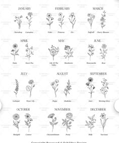 an image of flowers and their names