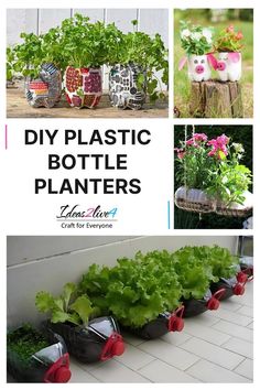 several different types of plastic bottle planters with flowers and plants in the bottom row