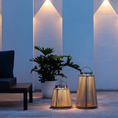 two lamps sitting next to each other near a potted plant