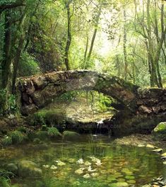 an old stone bridge over a small stream in the middle of a lush green forest