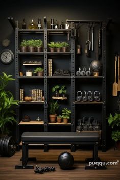 a gym room with black walls and shelves filled with plants