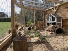 a chicken coop with chickens in it and an animal house on the other side of the fence