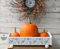 three pumpkins are sitting in a white tray on a shelf with a blue and white plate