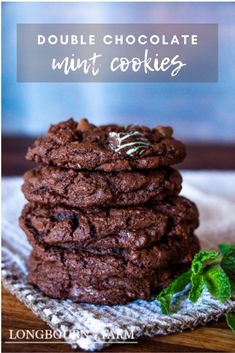 Image shows 4 chocolate cookies stacked on top of each other with mint leaves next to them. Mint Chocolate Chip Cookies, Chocolate Mint Cookies, Holiday Cookie Exchange, Double Chocolate Chip Cookies, Double Chocolate Cookies, Mint Cookies, Chocolate Mint, Chocolate Chunk, Mint Chocolate Chips