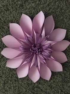 a large purple flower sitting on top of green grass