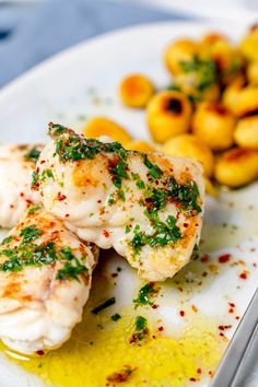 two pieces of chicken sitting on top of a white plate