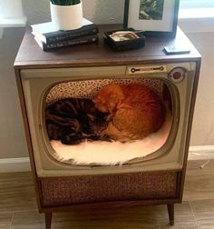 two cats are sleeping on top of an old tv set that has been turned into a cat bed