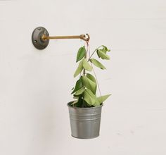 a potted plant is hanging from a hook on the side of a white wall