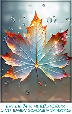 an image of a maple leaf with water droplets on the leaves and below it is text that reads, new lieber herbstugs und einen schen samtach