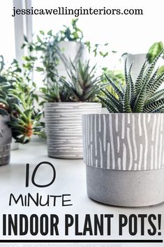 some plants that are sitting in pots on a table with the words 10 minute indoor plant pots