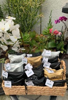 several pairs of shoes sitting in a basket next to some flowers and potted plants