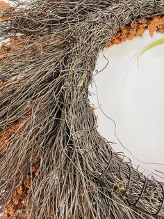 a white plate with some branches on it