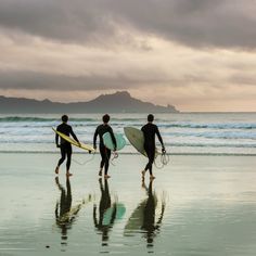 three surfers walking on the beach with their surfboards under their arms and feet