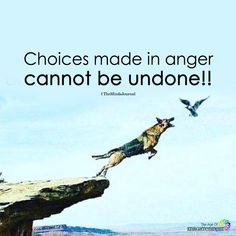 a dog jumping off a cliff into the air with a bird flying over it and an advertisement that reads choices made in anger cannot be undone