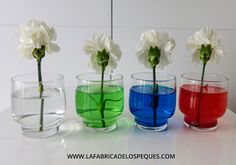 four different colored vases with flowers in them on a table next to each other